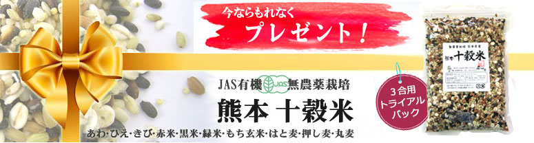 元気野菜セットでもれなくプレゼント! 熊本から産地直送!